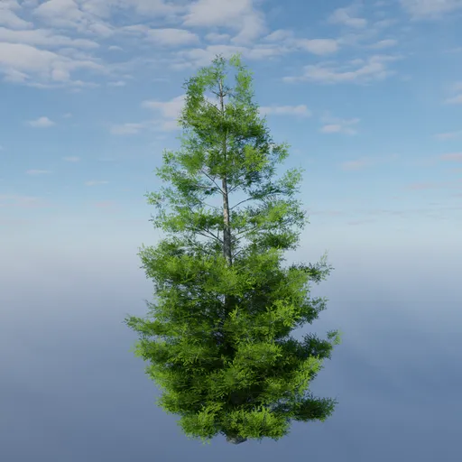 Evergreen Mid-Poly Tree