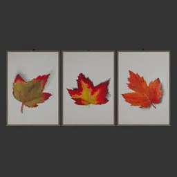 Painting Leaf Wall Art Set/Picture Frame