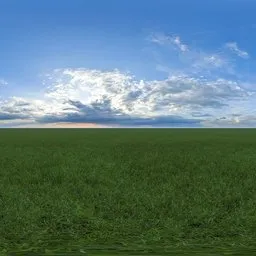 Green grass cloudy blue sky pure sky