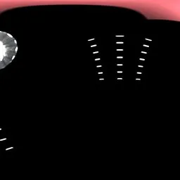 Black White Light Studio