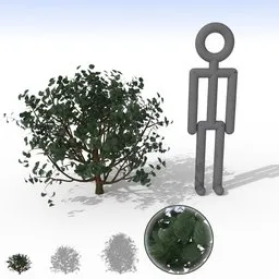 High-detail 3D small bush model with dark glossy leaves for Blender, ideal for garden or outdoor scenes.