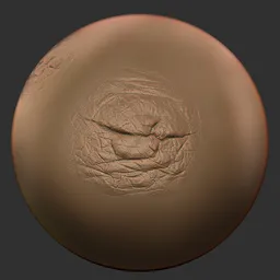 ER_Human Skin(U) 101