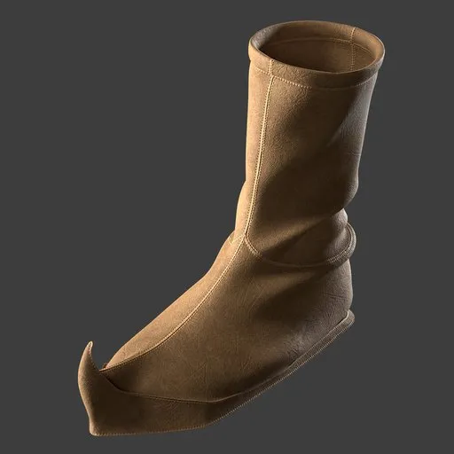 Shoe