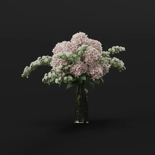 Hydrangea