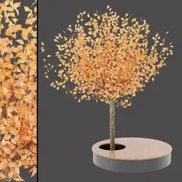 Seasonal Tree Seat