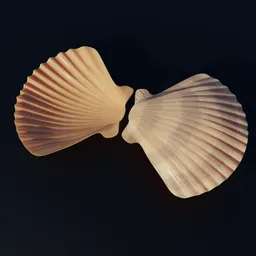 "Blender 3D model of a Shellfish for scatter placement on any surface, with Botticelli-style shells kissing in connectedness. Octane render with white background and shadows. Symbolic metaphor for broken parts, fins, terminals, and dredged seabed."
