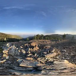 Mountain Bluesky TRee Ground Sunset