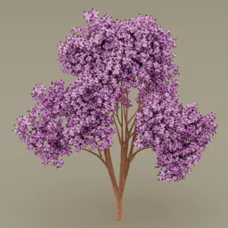 Pink flowered-dark red leaved tree