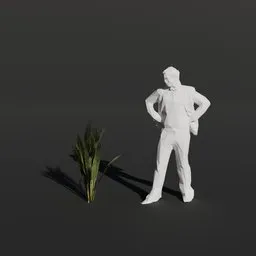 Palm Tree Small Sprout