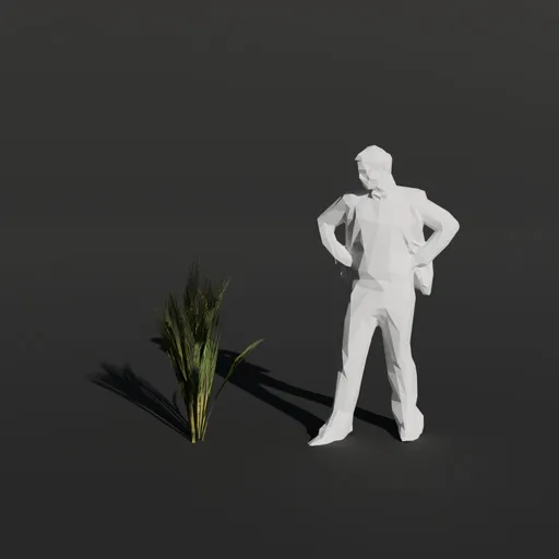 Palm Tree Small Sprout