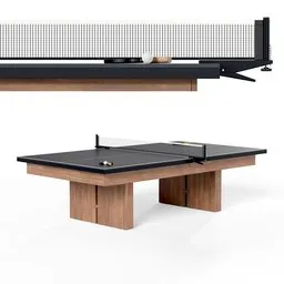 Modern High-End Table Tennis