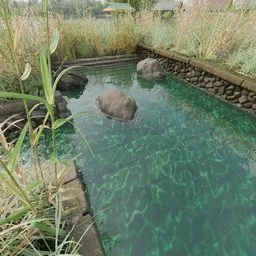 Pond With Water Caustics