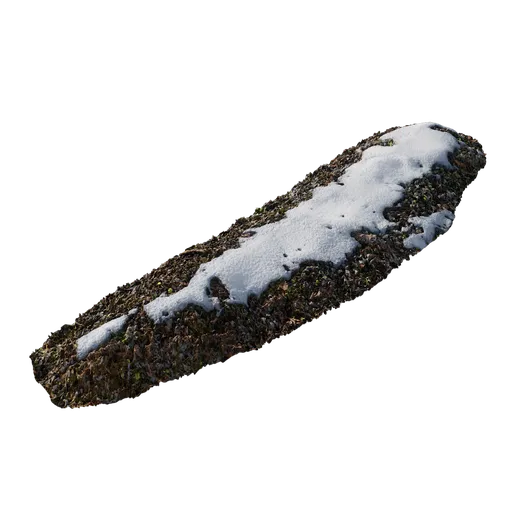 Snow Ground 01