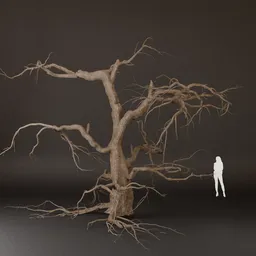 SJ Game Asset Tree Dried