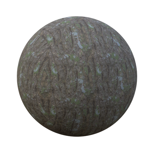 Thumbnail: oak bark