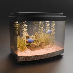 Detailed Fish Aquarium