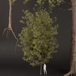 SJ-Realistic Pine & Spruce Forest