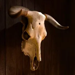 Cow Skull decoration
