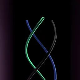 DNA rotation