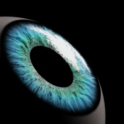 Realistic Retina
