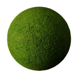 Fine Moss Green