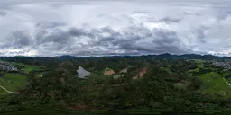Heavy rain is coming to the forest