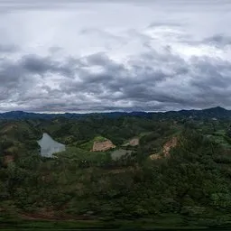 Heavy rain is coming to the forest