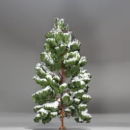 Snow Pine Toon Tree