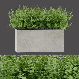 Pink Leaf Planter