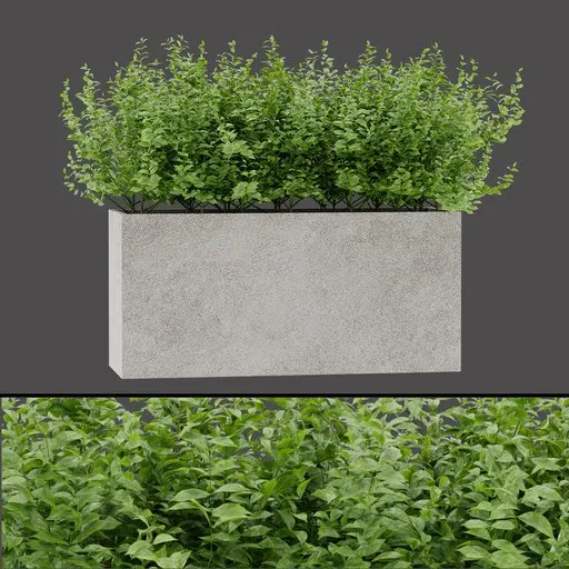 Pink Leaf Planter