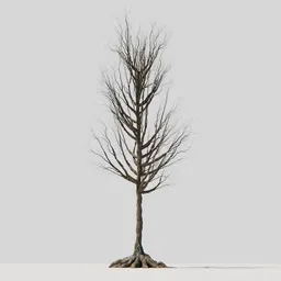 Detailed 3D model of a leafless tree with intricate branches and exposed roots for Blender rendering.