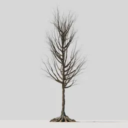 Dry Tree 01