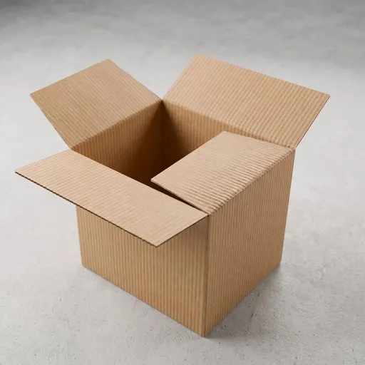 Rigged Corrugated Cardboard Box