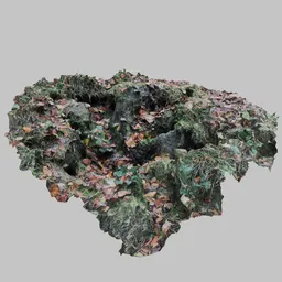 Photoscan Forest ground hole