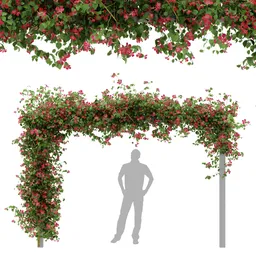 Ivy Flower Arbor Plant - Chinese trumpet vine