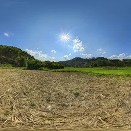 Daytime open space
