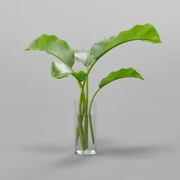 Realistic 3D-rendered green plant leaves in a transparent vase with water, ideal for Blender 3D nature scenes.