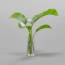 "Nature-inspired 3D model of fresh plant leaves in a transparent glass vase on a gray surface, rendered with professional lighting. Perfect for indoor design projects in Blender 3D. Find this nature-indoor creation in BlenderKit's diverse collection."