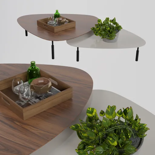 Detailed 3D model showcasing modern coffee table with accessories, compatible with Blender for architectural visualization.