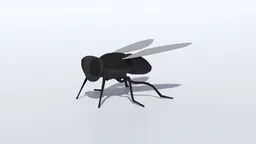 Low Poly Fly