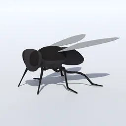 Low Poly Fly