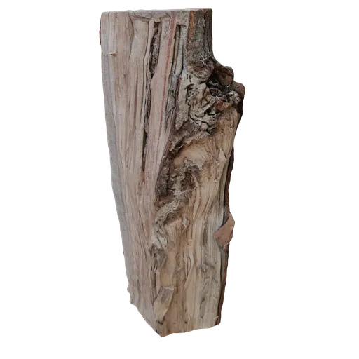 Realistic 3D model of a cut log with detailed textures and quad topology for Blender rendering.