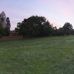 Bryanston Park Sunrise