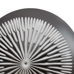 Mushroom Gills(Lamellae) least dense