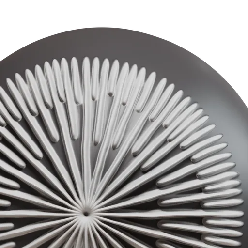 Mushroom Gills(Lamellae) least dense