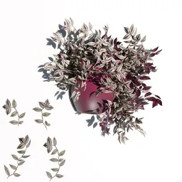 Detailed 3D model of Tradescantia Zebrina in vase, perfect for Blender rendering, with separate twigs for customization.