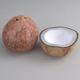 "Highly detailed Coconut set 3D model for Blender 3D. Handmade with decimate mod, featuring a whole and halved coconut on a table with an ashtray. Created by Károly Patkó and inspired by Richard Doyle and cgsociety."