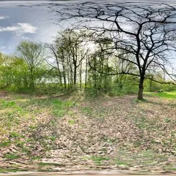 Outdoor Sunny Day Park