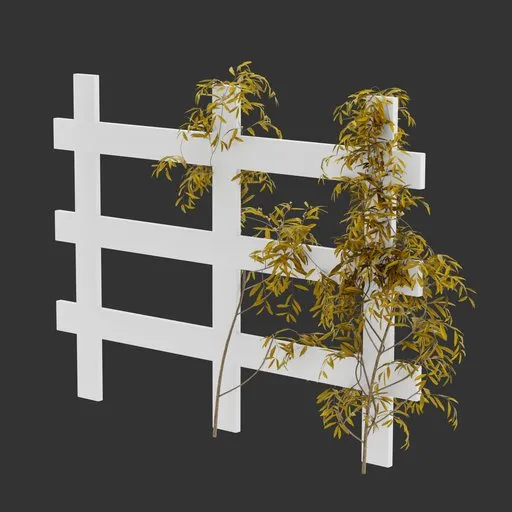 Simple Rail Ivy Autumn Plant