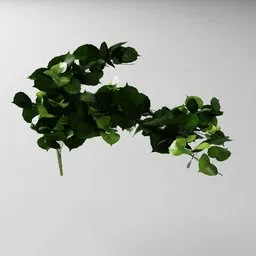 "3D model of artificial tendril vine in green, perfect for indoor nature scenes in Blender 3D. Features ultra-realistic stems and overgrown ivy plants, inspired by Mary Beale. Created using geometry nodes and the Bagapia addon for easy editing capabilities."